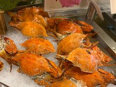 -南湖名都·景湖轩全日制餐厅·海鲜自助·东南亚风味·临湖而食