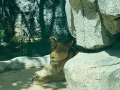 -北京野生动物园