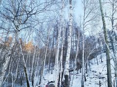 -北极村旅游风景区