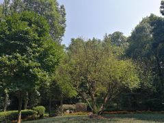 -邓小平故里