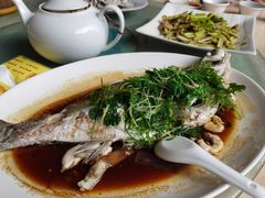 清蒸活鱼-荣兴河鲜楼(江口店)