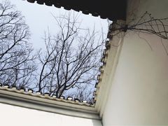 -绮园景区