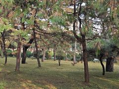 -清西陵