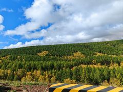 -塞罕坝国家级自然保护区