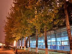 -北京国家会计学院