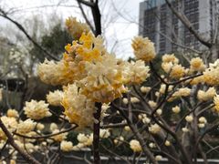 -南翔镇银翔湖公园
