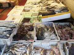 -芦潮港集贸市场