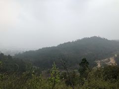 -灵岩山风景区