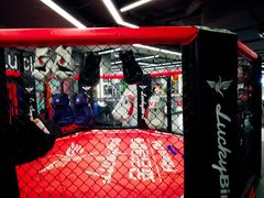 -金吉鸟健身游泳