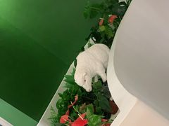 -小肥羊·牛羊肉火锅(万达广场店)