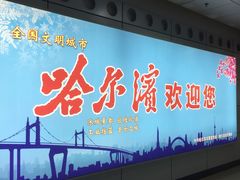 -哈尔滨太平国际机场