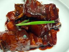 红烧肉-蝶园·装修中(BFC外滩金融中心店)