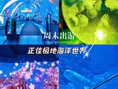 -正佳极地海洋世界