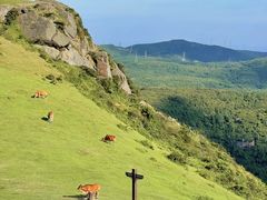 -大姆山草场
