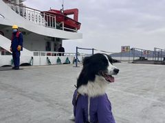 -朱家尖蜈蚣峙码头