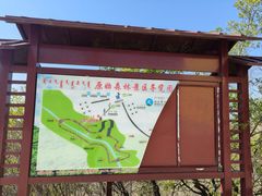 -大青沟风景区
