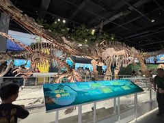 -国家自然博物馆