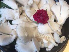 鲜蘑-手选潮汕鲜活牛肉火锅(二七广场店)