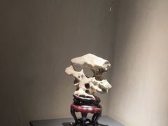-觀芷隐轩