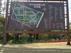 -上海长兴岛郊野公园