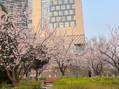 -银座和谐广场