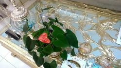 -悦色嘉丽科技美肤健康管理