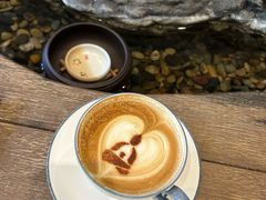 -菩提树下茶咖鼓捣