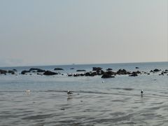 -泊石湾海滨浴场