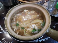 -大中鱼翅 Taitong Shark Fin