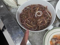 -张家卫·阳江菜·小海鲜(肥婆湾桥店)