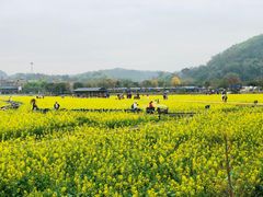 -红山村