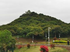 -立新湖公园