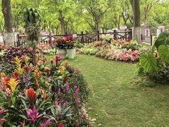 -上海鲜花港