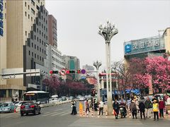 -昆明动物园