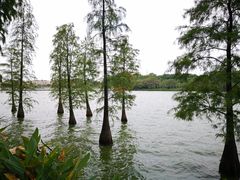 -南国桃园旅游度假区