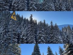 -新疆国际大巴扎