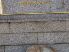 -罗布林卡