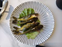 -马家斑.鲜鱼火锅(松湖万科店)