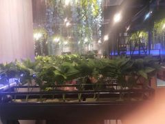 -杨记齐齐哈尔烤肉(五莲路店)