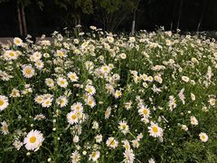 -四里河滨水生态公园