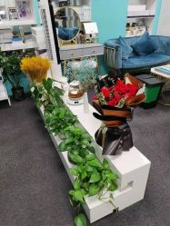 -斐尔国际皮肤管理中心