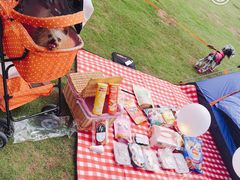 -栖露营camping·天幕烧烤·团建拓展·采摘营地
