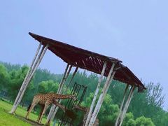 -哈尔滨北方森林动物园