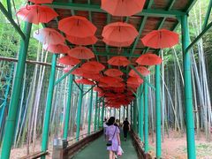 -陶祖圣境风景区