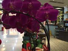 -美奈小馆·越南料理(福田星河COCO Park店)