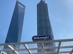 -陆家嘴中心绿地