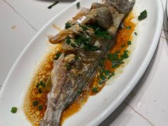 -金海湾海鲜排档(朱家尖店)