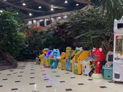 -老山东·山东菜(鲁菜名店)