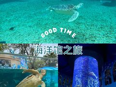 -广州海洋馆