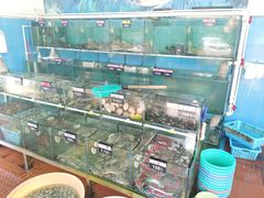 水产区-双月饭店·20年老字号(新村店)